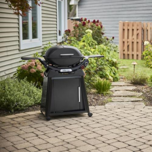 Weber Q 2800N+ Freestanding Propane Gas Grill
